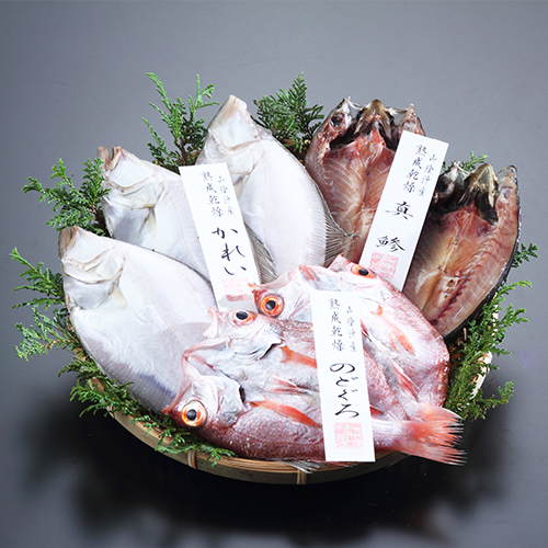 (A81)海旬房セット　なぎさ