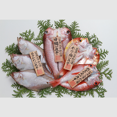 (A76)「一日漁」一夜干し　恵比寿