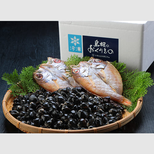 (A)山陰沖産のどぐろ一夜干・宍道湖産大和しじみ大粒セット