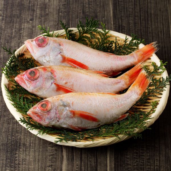 (A62)のどぐろ(下処理済み)