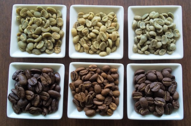 コーヒー豆 170ｇ×3種類(豆)（産直）