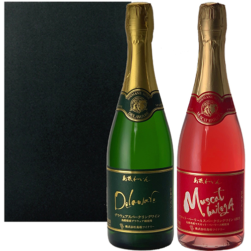 (SB-21)【SW-SPDA】スパークリングワイン2本セット