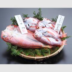 (A82)海旬房セット　いさり