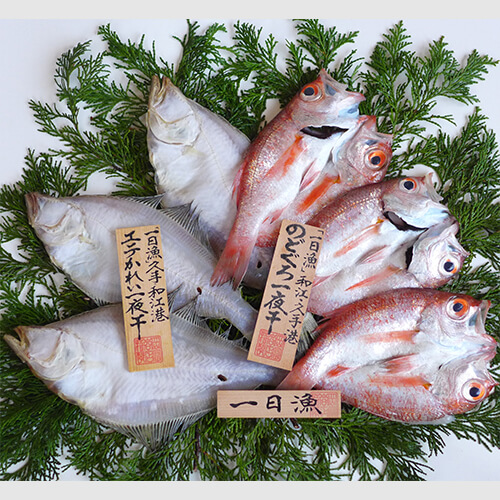(A62)「一日漁」のどぐろ・かれい一夜干