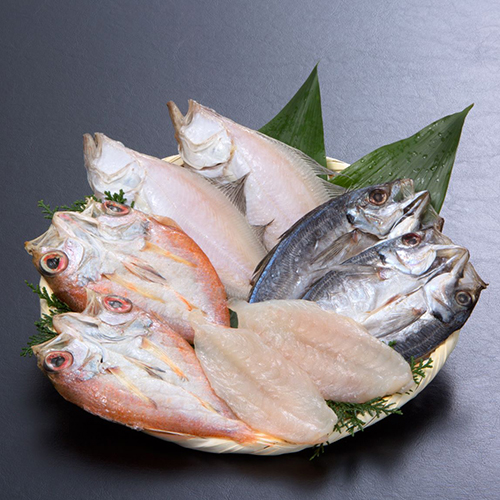 (A56)みちしお