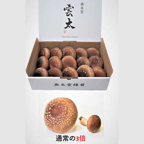 贈答用 雲太1㎏(産直)