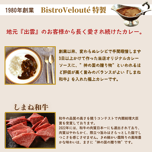 ごろっと しまね和牛カレー　４種セット(産直)