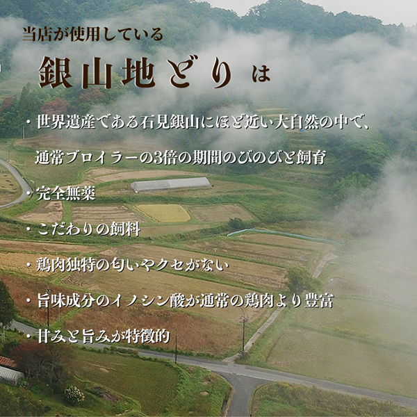 完全無薬で育った 銀山地どりのタンドリーチキン ４食セット(産直)