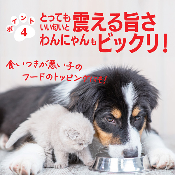 かしらnoまんま