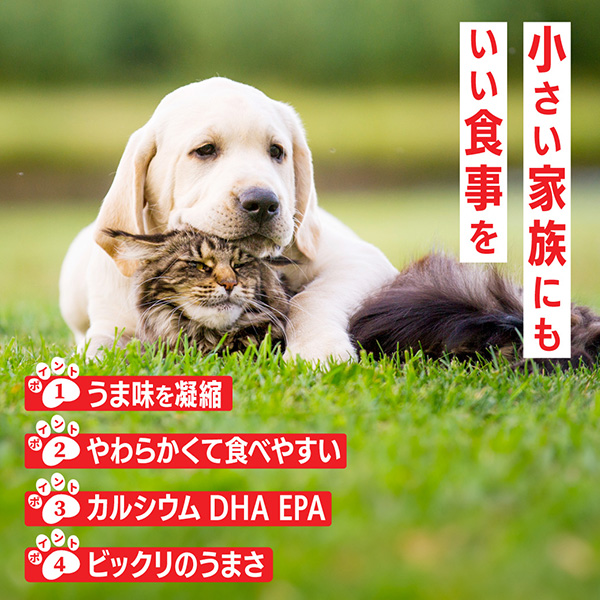 わんこの炊き込みごはん(さつまいも)(犬用)