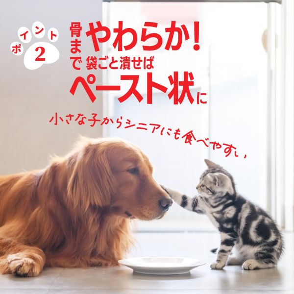 かしらnoまんま