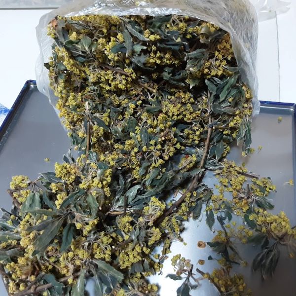 雲南のクロモジ花茶(産直)