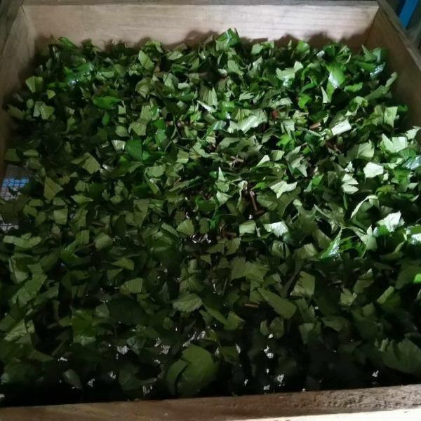 とうき茶葉(産直)