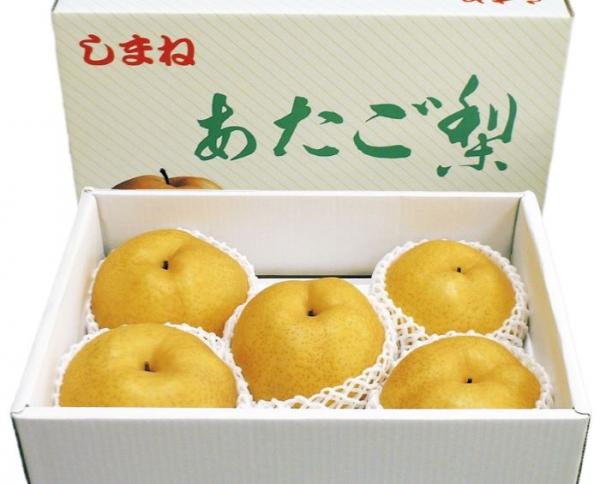 (A105)あたご梨 約4〜5kg(3〜6玉)