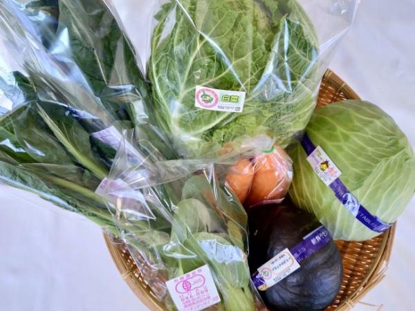 浜田市弥栄町産の野菜おまかせセット(産直)