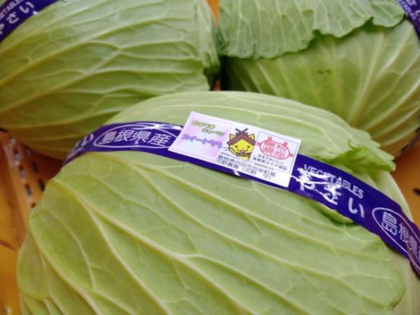 浜田市弥栄町産の野菜おまかせセット(産直)