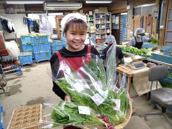 浜田市弥栄町産の野菜おまかせセット(産直)