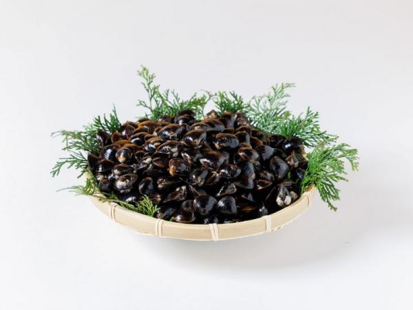 (A95)出雲大社献納神西湖産冷凍大和しじみ