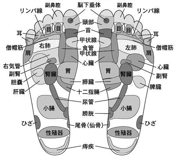 指圧棒プロ