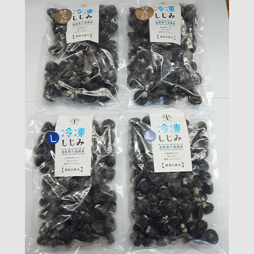 宍道湖産冷凍大和シジミ特大粒500g×2 L500g×2(産直)