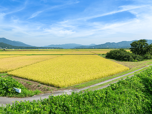 田園風景