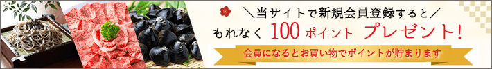 当サイトで新規会員登録するともれなく100ポイントプレゼント！