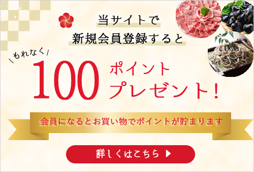 当サイトで新規会員登録するともれなく100ポイントプレゼント！